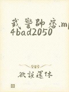 武警帅痞.mp4bad2050