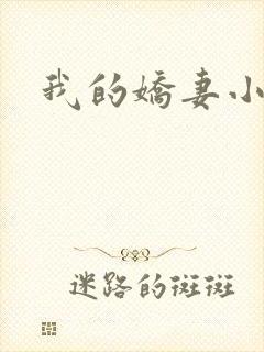 我的娇妻小说