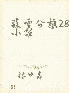 苏雪公憩28篇小说