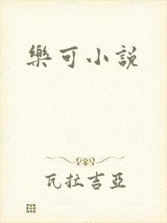 乐可小说封面