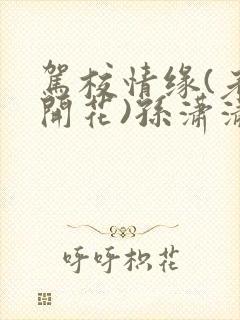 驾校情缘(老树开花)孙潇潇笔趣阁封面