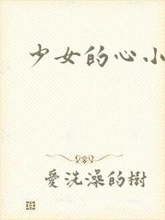 少女的心小说