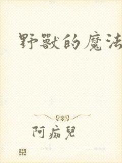 野兽的魔法师封面