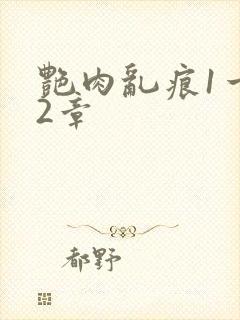 艳肉乱痕1一12章