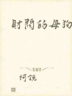 财阀的母狗们封面