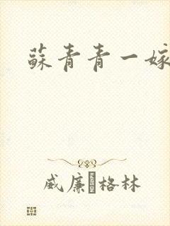 苏青青一嫁三夫