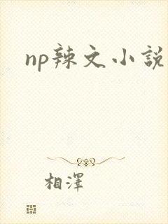 np辣文小说