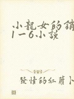 小龙女的销魂夜1一6小说