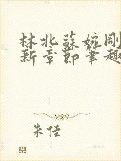 林北苏婉刚刚更新章节笔趣阁