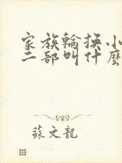 家族轮换小说第二部叫什么名字