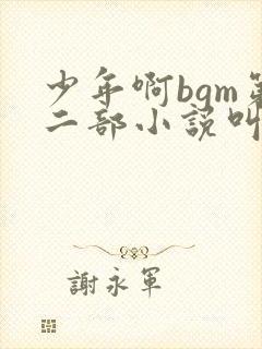 少年啊bgm第二部小说叫什么