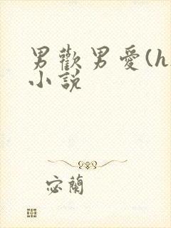 男欢男爱(h)小说