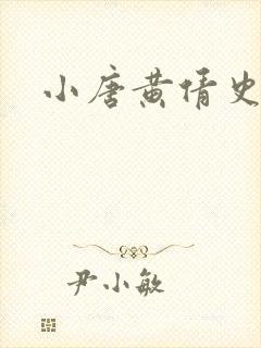 小唐黄倩史封面
