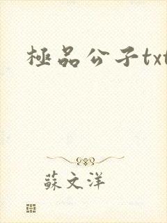 极品公子txt