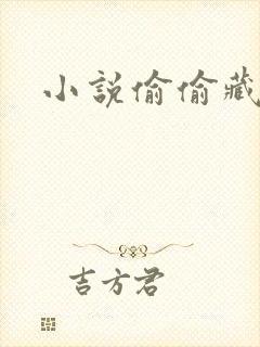 小说偷偷藏不住