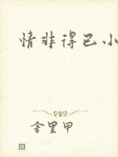 情非得已小说封面