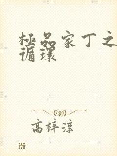 极品家丁之因果循环封面