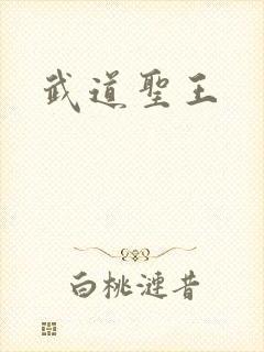 武道圣王