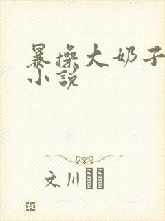 暴操大奶子妈妈小说封面