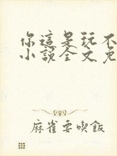 你这是玩不起呀小说全文免费阅读封面