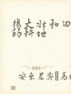 杨大壮和田桂花的耕地封面