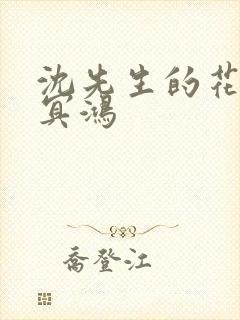 沈先生的花式调冥鸿