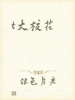t大校花