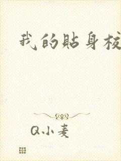 我的贴身校花