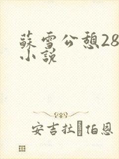 苏雪公憩28篇小说