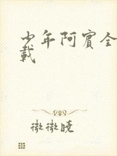 少年阿宾全集下载