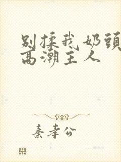 别揉我奶头嗯啊高潮主人