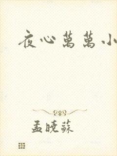 夜心万万小说