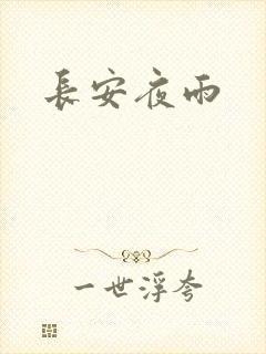 长安夜雨