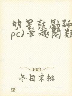 明星鼓励师(npc)笔趣阁类似