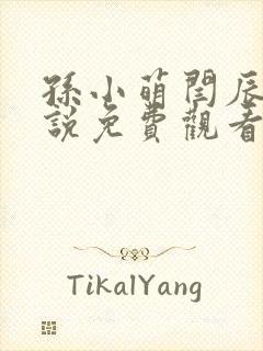 孙小萌闫辰的小说免费观看