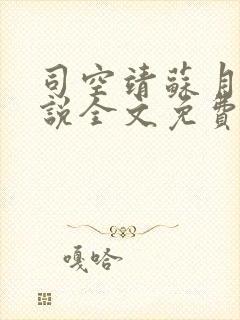 司空靖苏月汐小说全文免费阅读最新章节