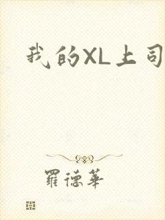 我的XL上司