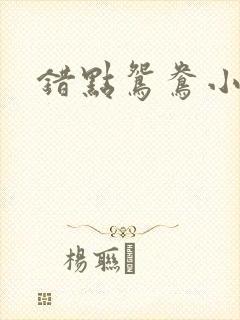 错点鸳鸯小说