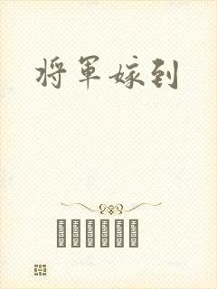 将军嫁到封面
