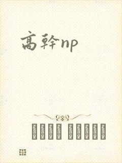 高干np