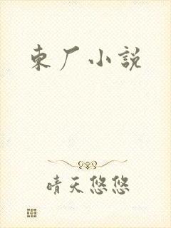 东厂小说