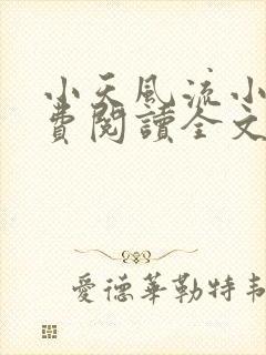 小天风流小说免费阅读全文最新章节