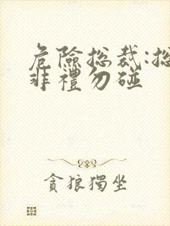 危险总裁:总裁非礼勿碰