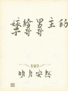 嫁给男主的病秧子哥哥封面