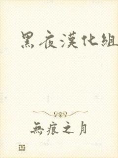 黑夜汉化组