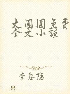 大团圆免费阅读全文小说封面