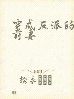 穿成反派的炮灰前妻封面