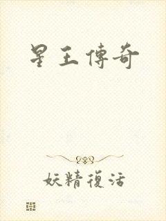 星王传奇