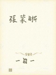 张蒙晰封面