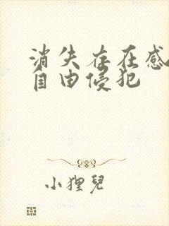 消失存在感消失自由侵犯封面